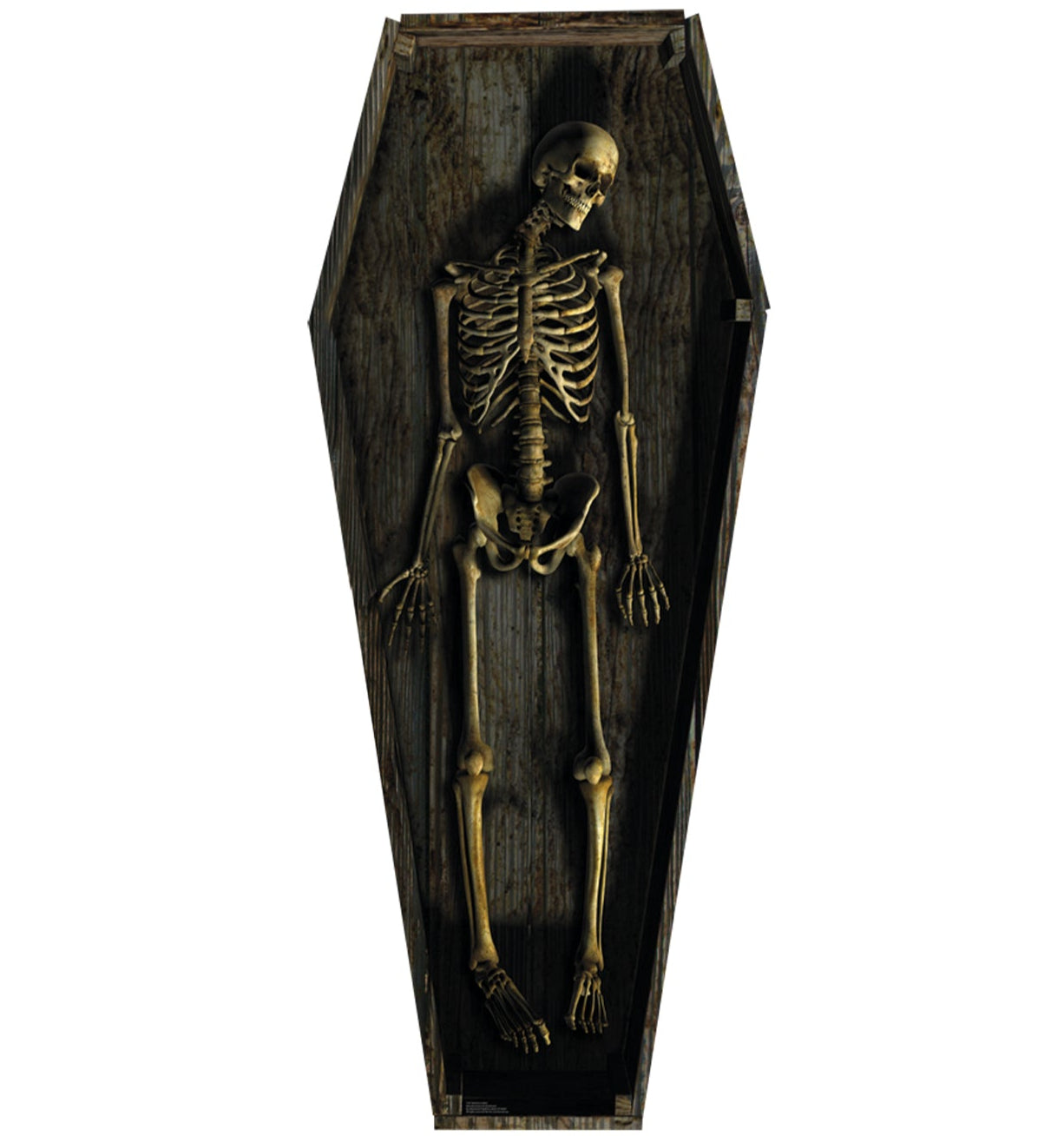 Life-size Skeleton Casket Cardboard Cutout - All Cutouts