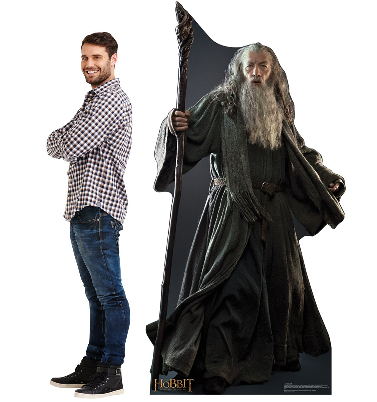 Life-size Gandalf Cardboard Cutout - All Cutouts
