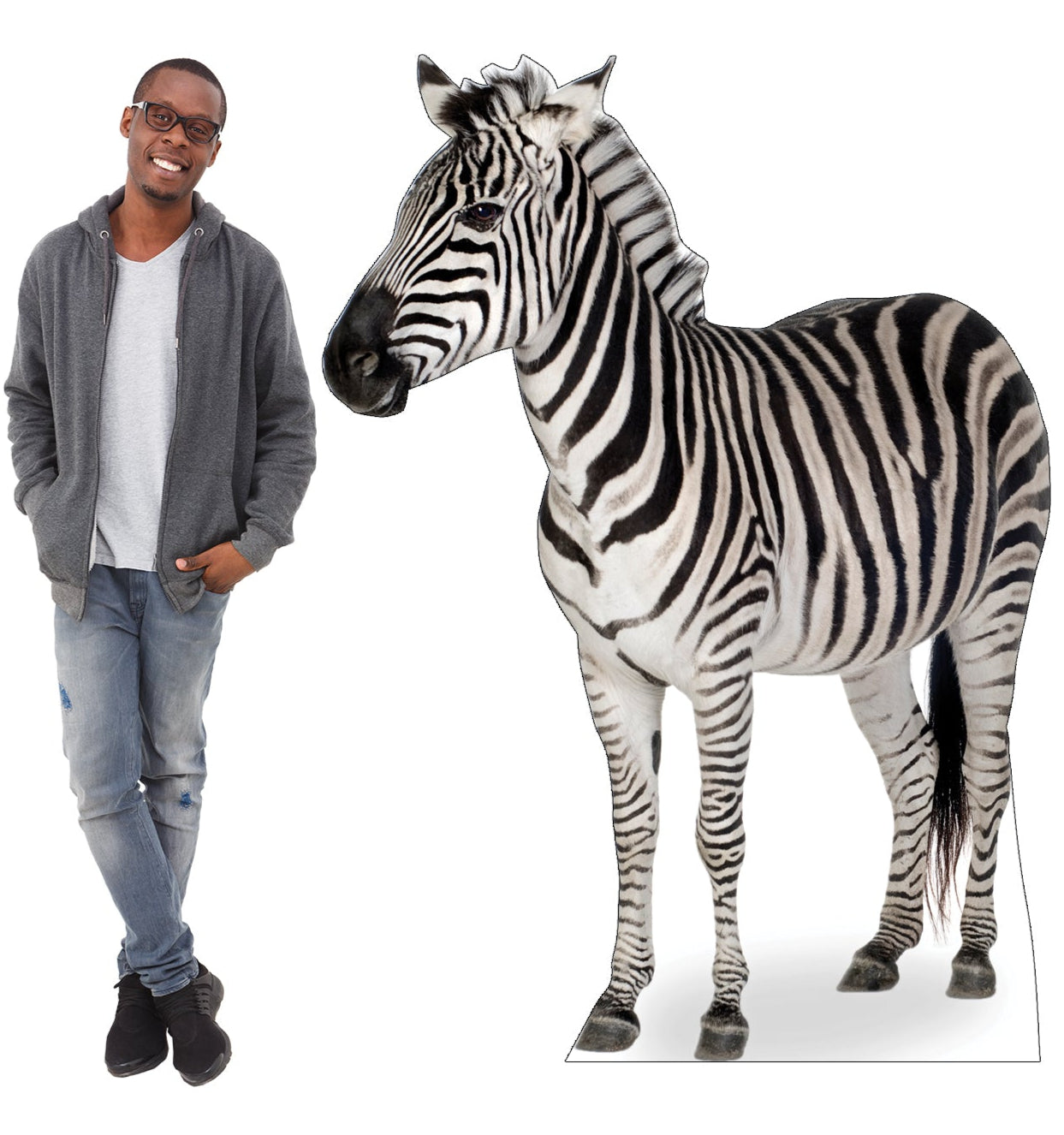 Zebra Life-Size Cardboard Standup - All Cutouts