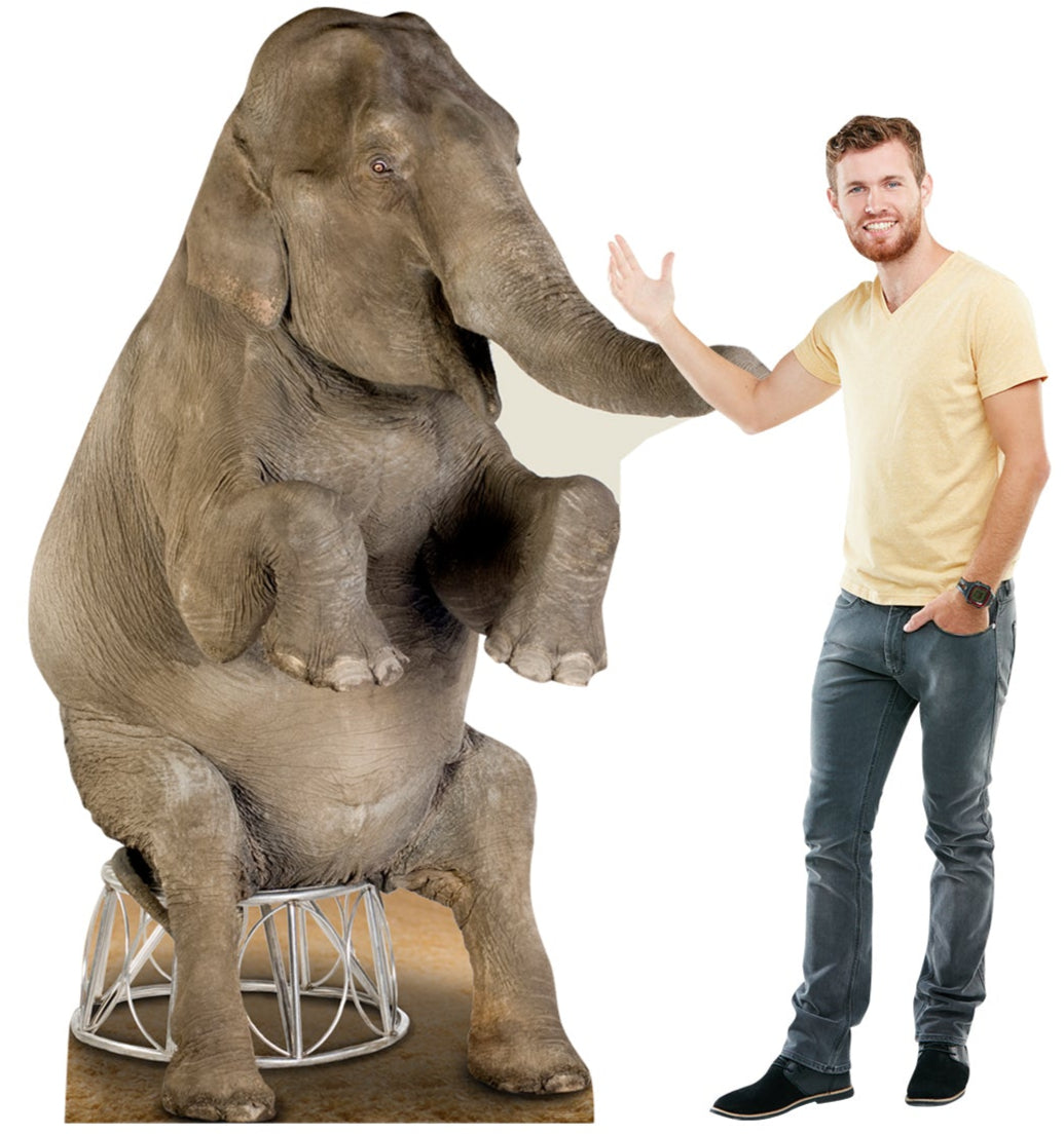 Life-size Asian Elephant Cardboard Standup - All Cutouts