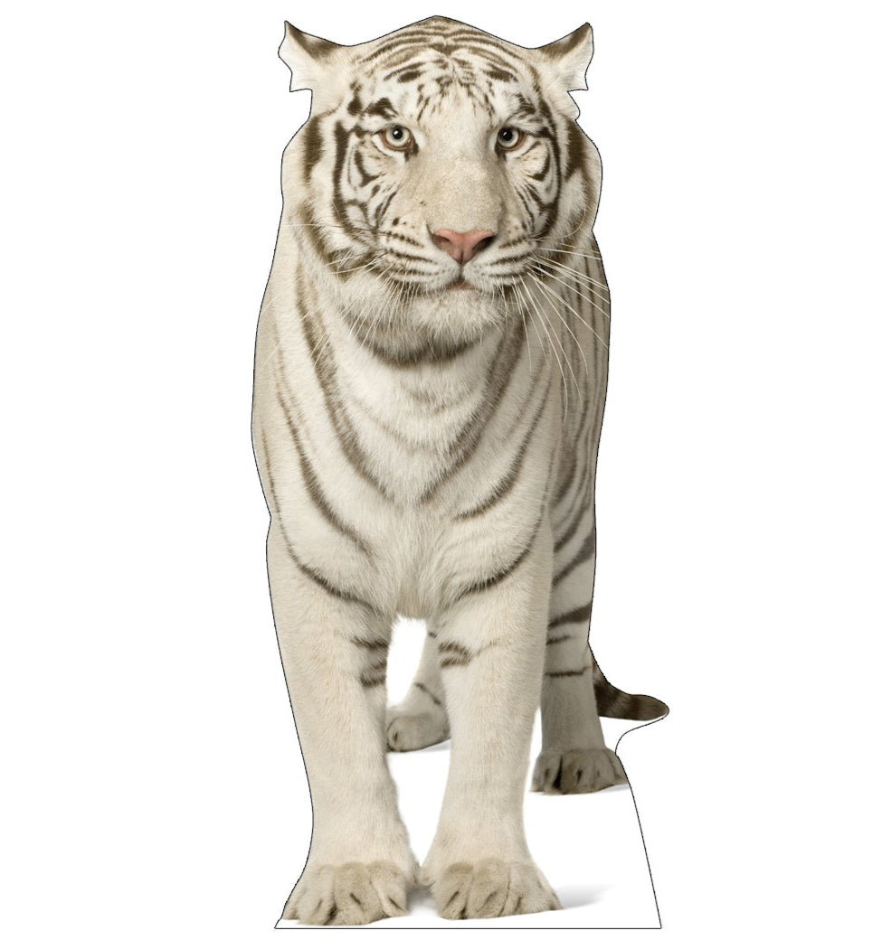 Life-size White Tiger Cardboard Standup - All Cutouts