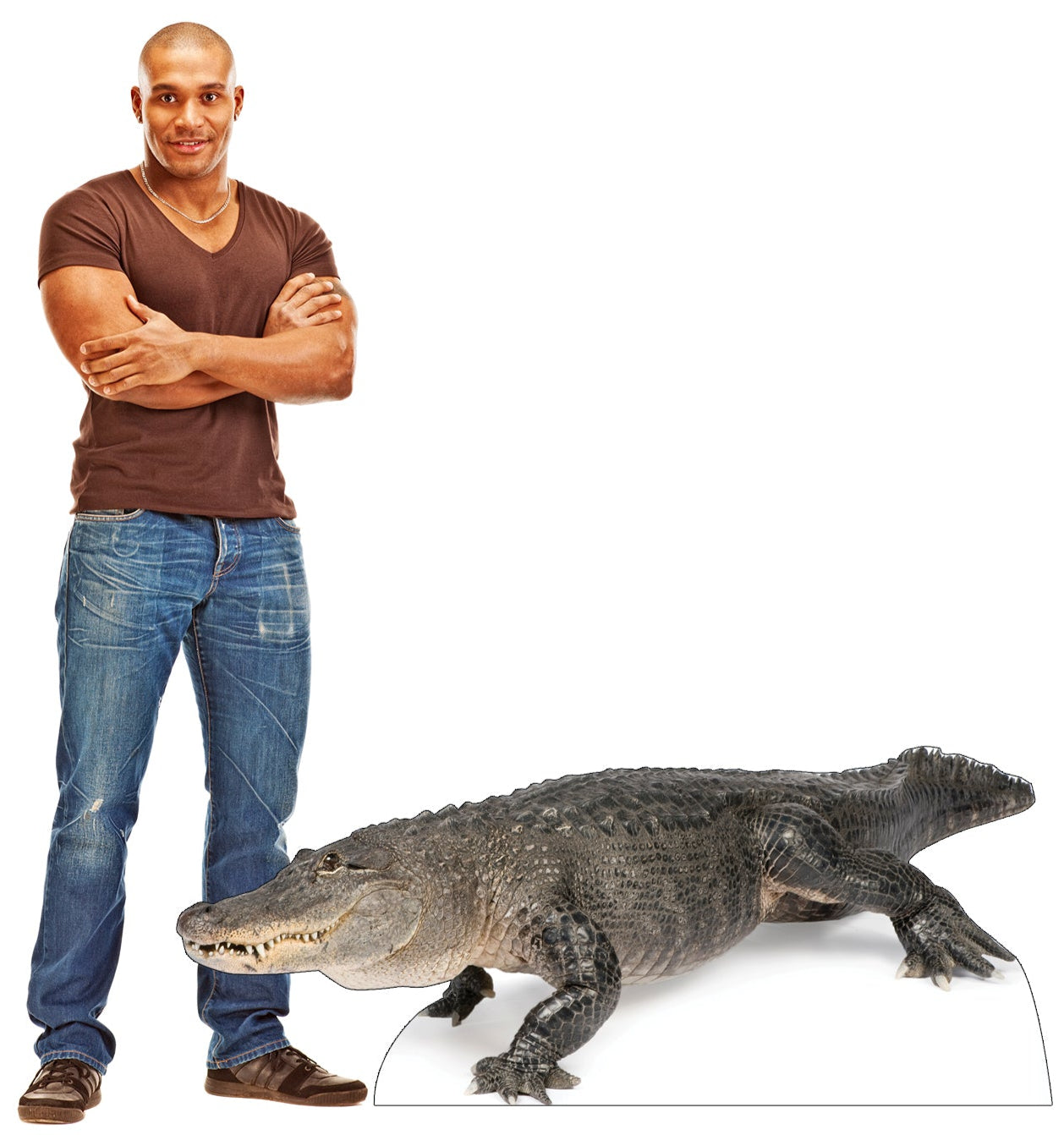 Life-size American Alligator Cardboard Standup - All Cutouts