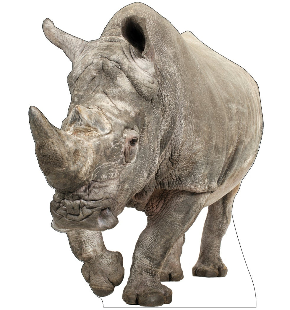 Life-size White Rhinoceros Cardboard Cutout - All Cutouts