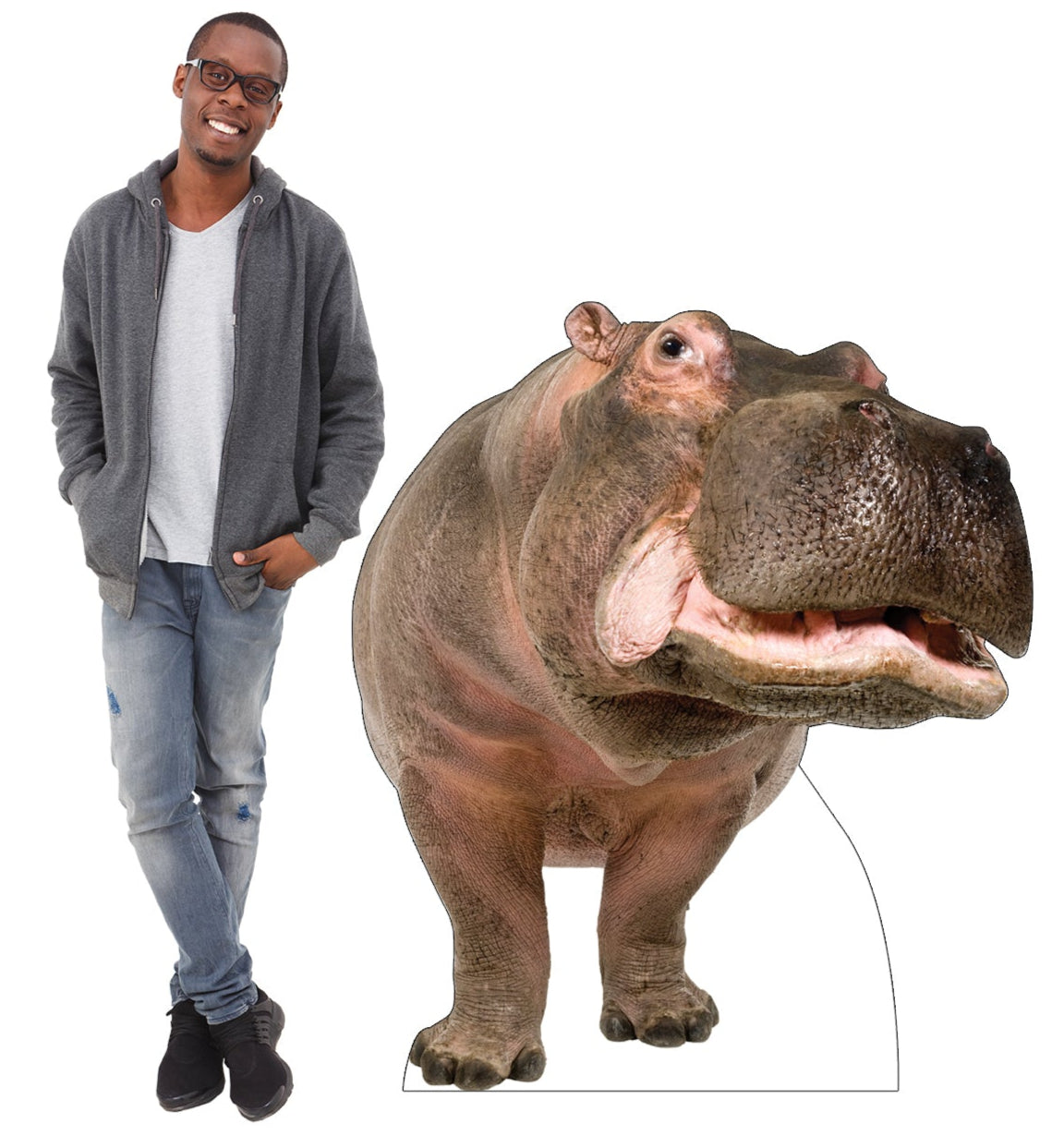 Life-size Hippopotamus Cardboard Cutout Standee - All Cutouts