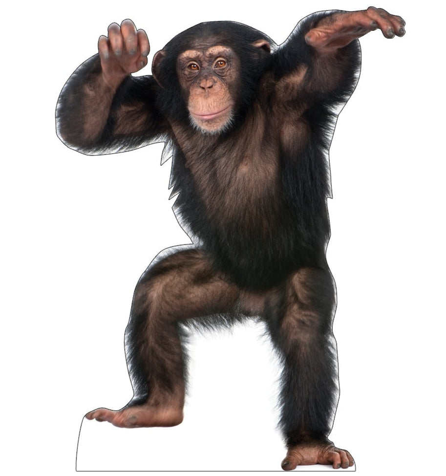 Life-size Young Chimpanzee Cardboard Cutout Standee - All Cutouts