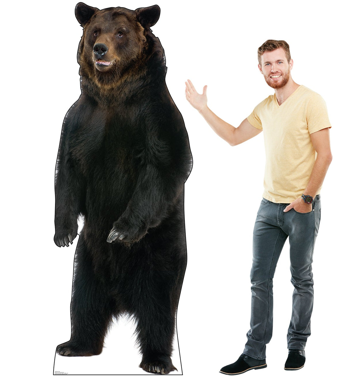 Life-size Brown Bear Cardboard Cutout - All Cutouts