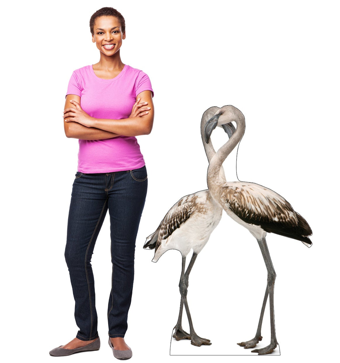 Life-size Flamingos - Love Birds Cardboard Standup - All Cutouts