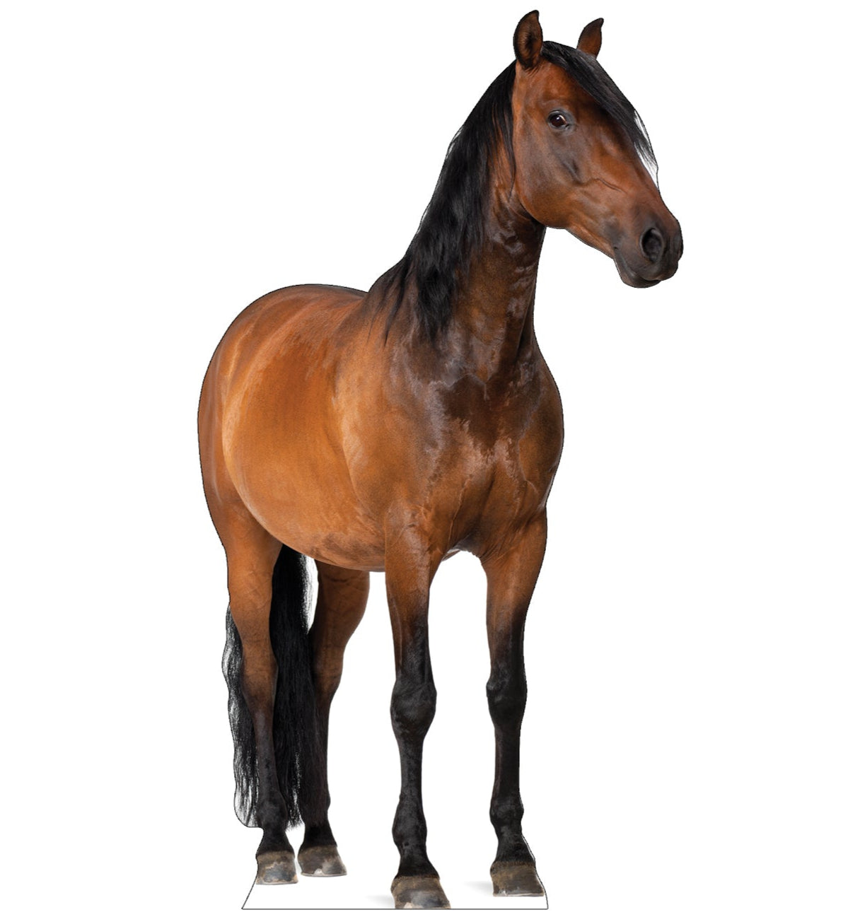 Life-size Horse 2 Cardboard Cutout - All Cutouts