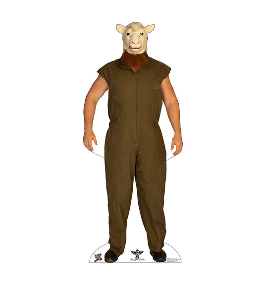 Life-Size Erick Rowan Cardboard Cutout - All Cutouts