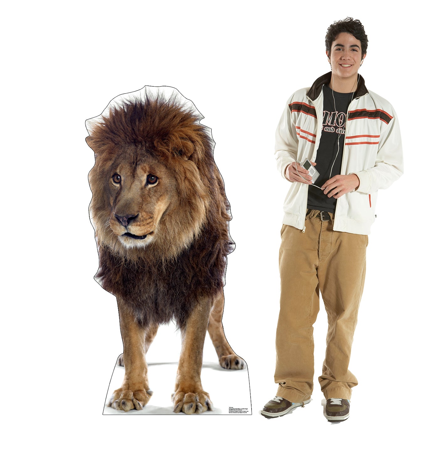 Life-size Lion 2 Cardboard Cutout Standee - All Cutouts