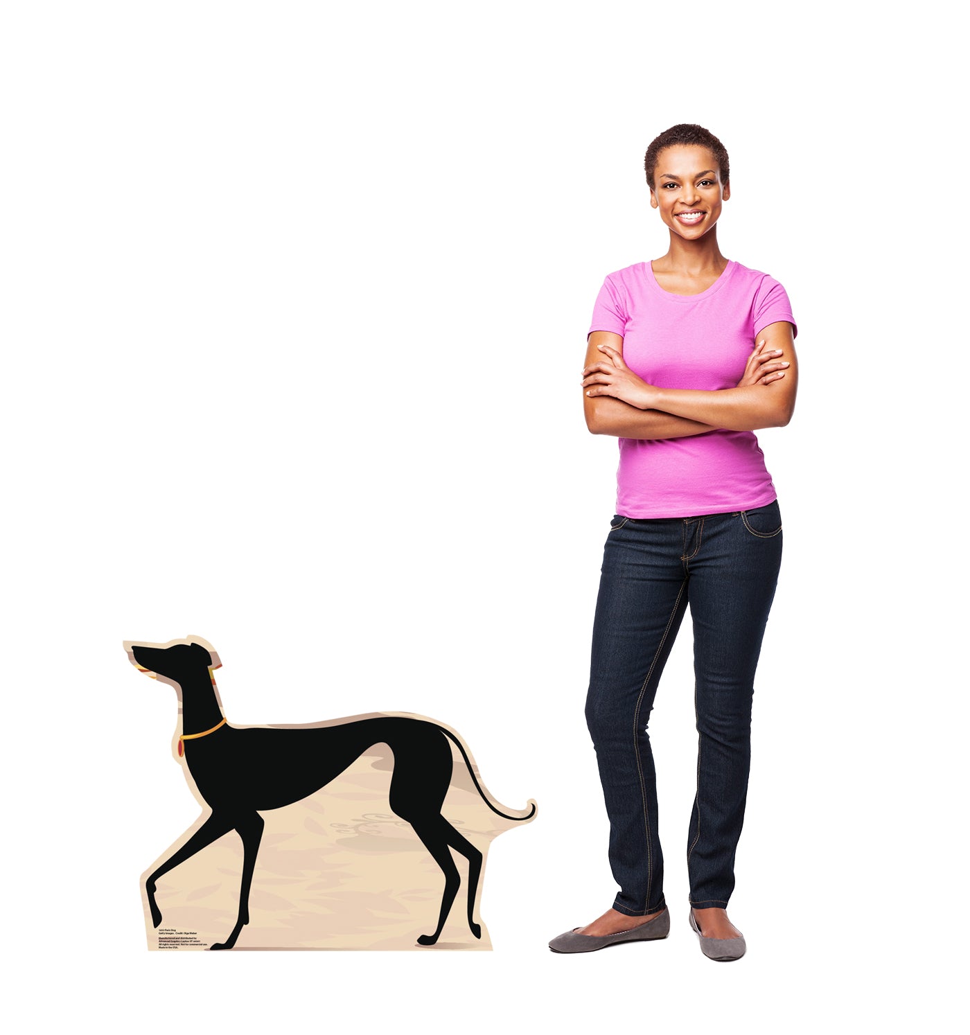 Life-size Paris Dog Cardboard Standup - All Cutouts