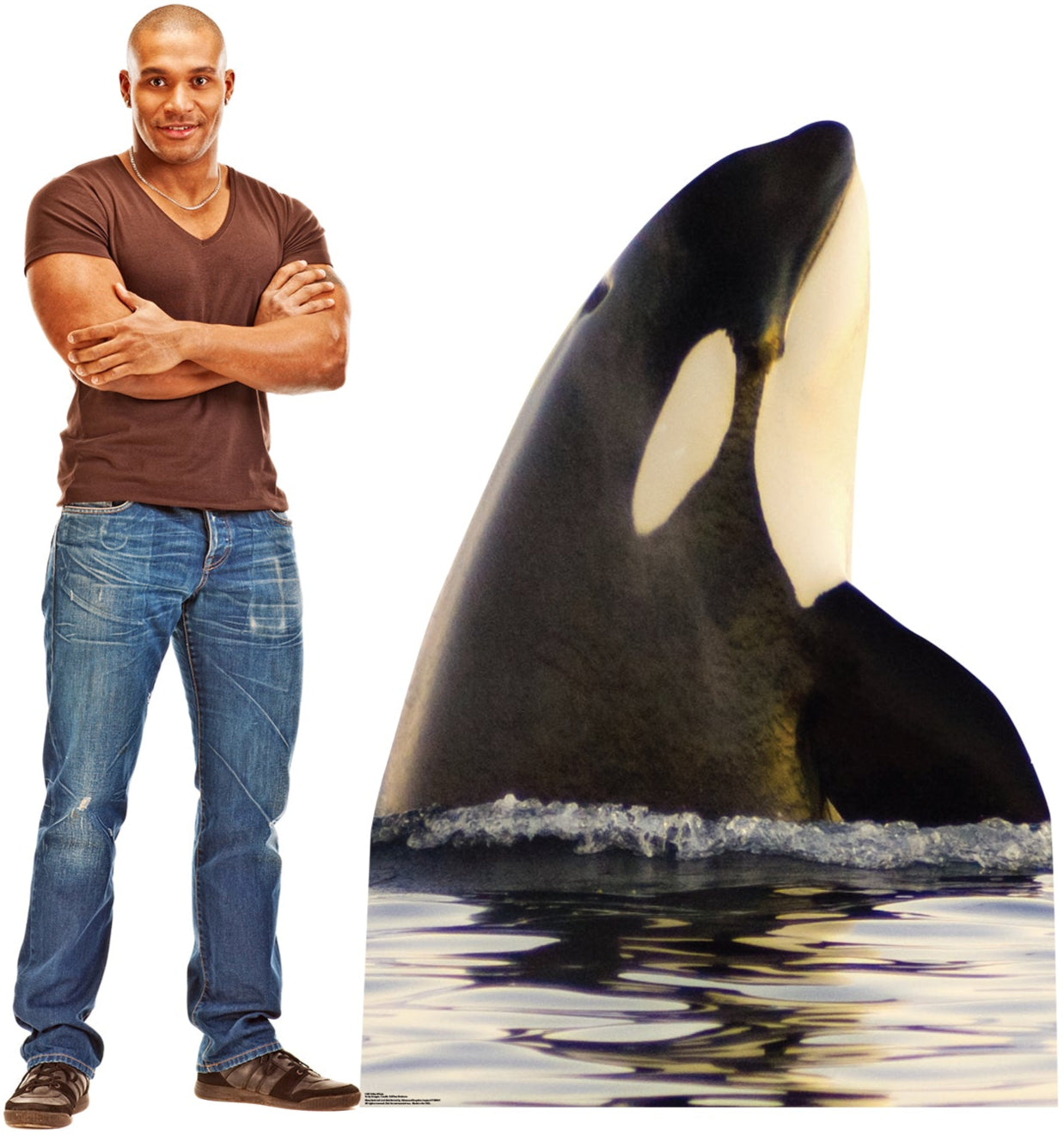 Life-size Killer Whale Cardboard Standup - All Cutouts