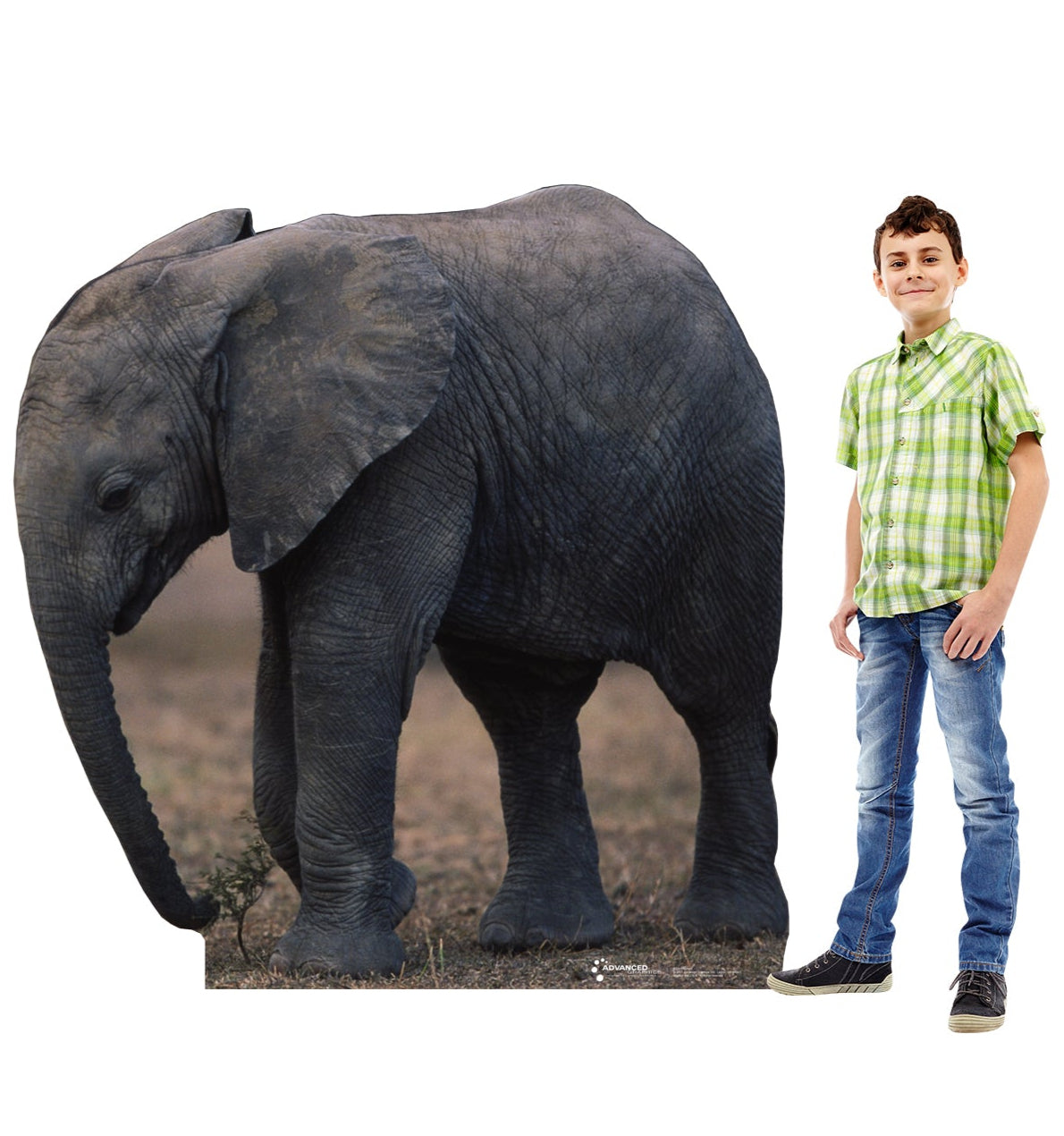 Life-size Baby Elephant Cardboard Standup | Cardboard Cutout - All Cutouts