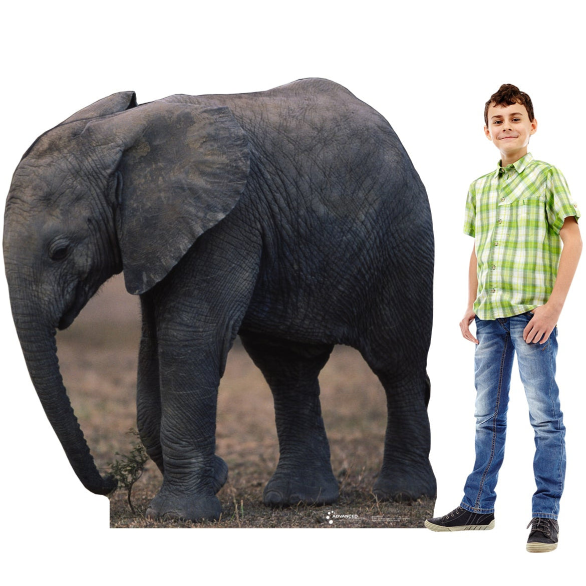 Baby Elephant Talking Life-Size Cardboard Cutout - All Cutouts