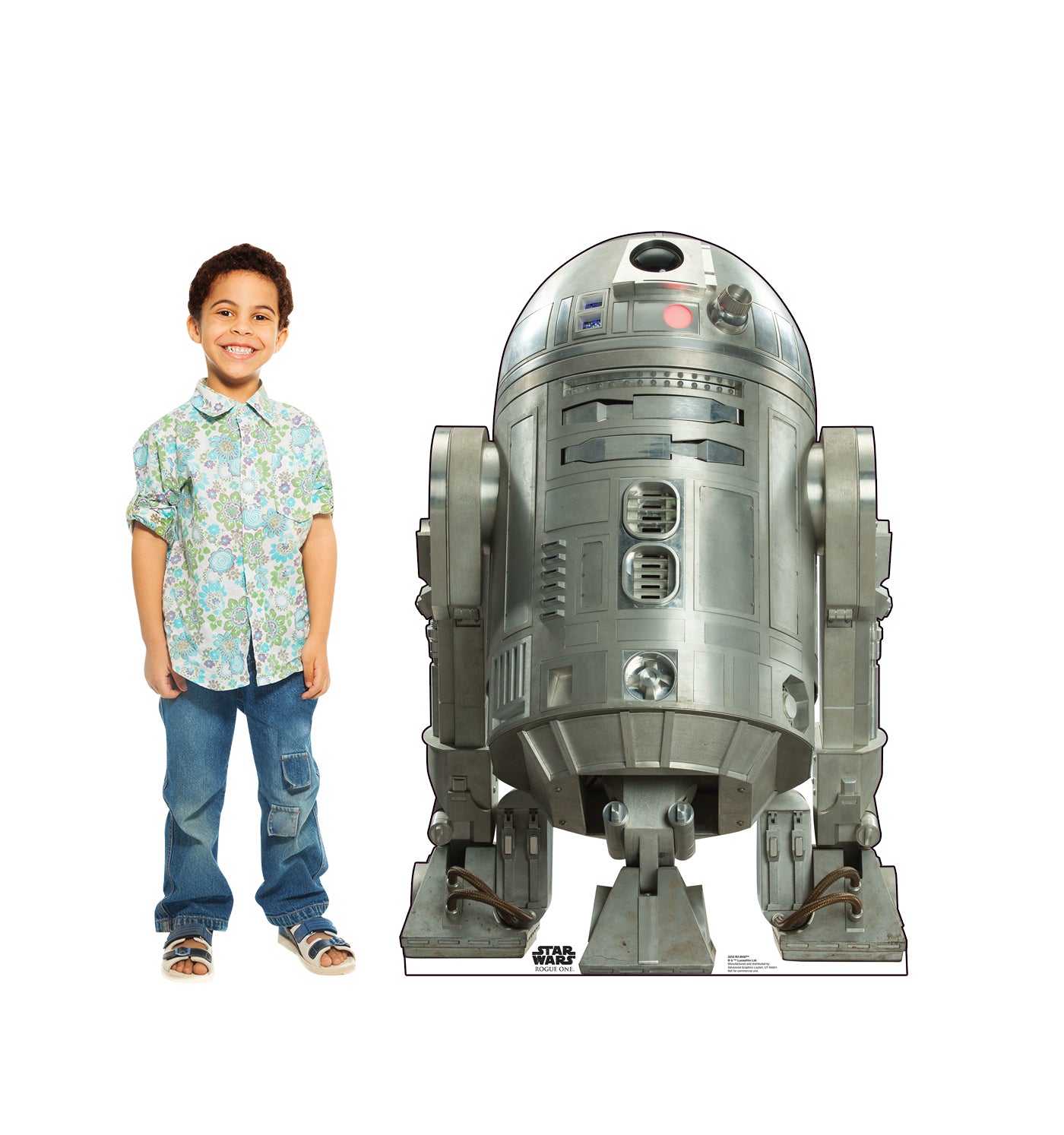 Life-size R2-BHD (Rogue One) Cardboard Cutout - All Cutouts