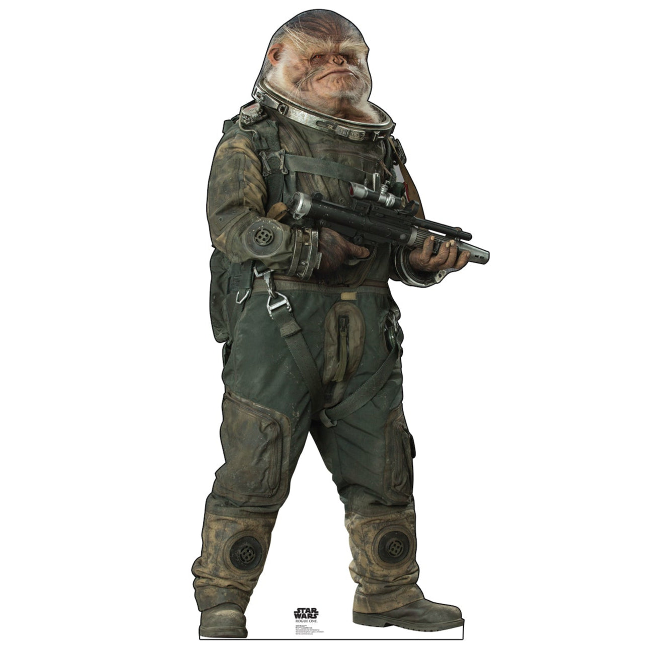 Life-size Bistan Rogue One Cardboard Cutout - All Cutouts
