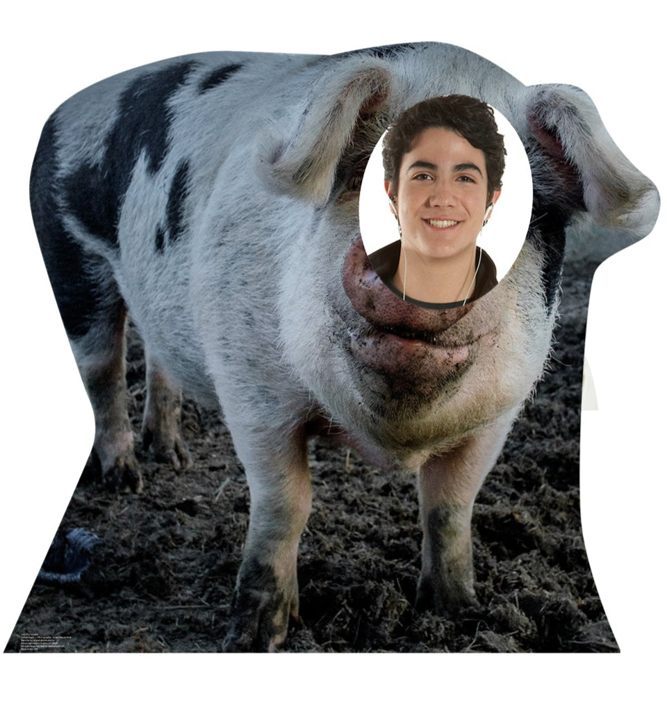 Life-size Pig Stand-In Cardboard Standup - All Cutouts