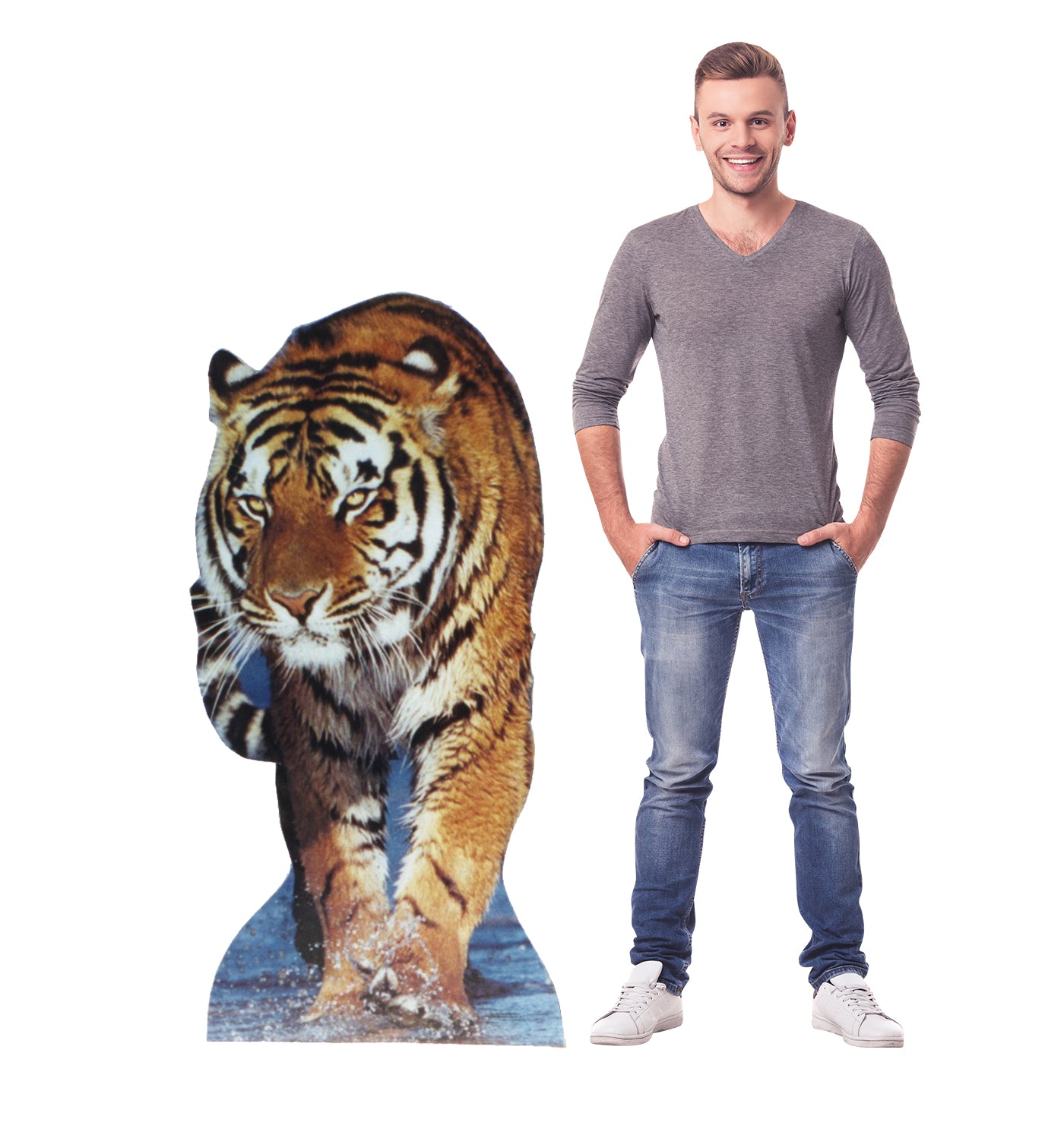 Life-size Tiger Cardboard Standup | Cardboard Cutout - All Cutouts