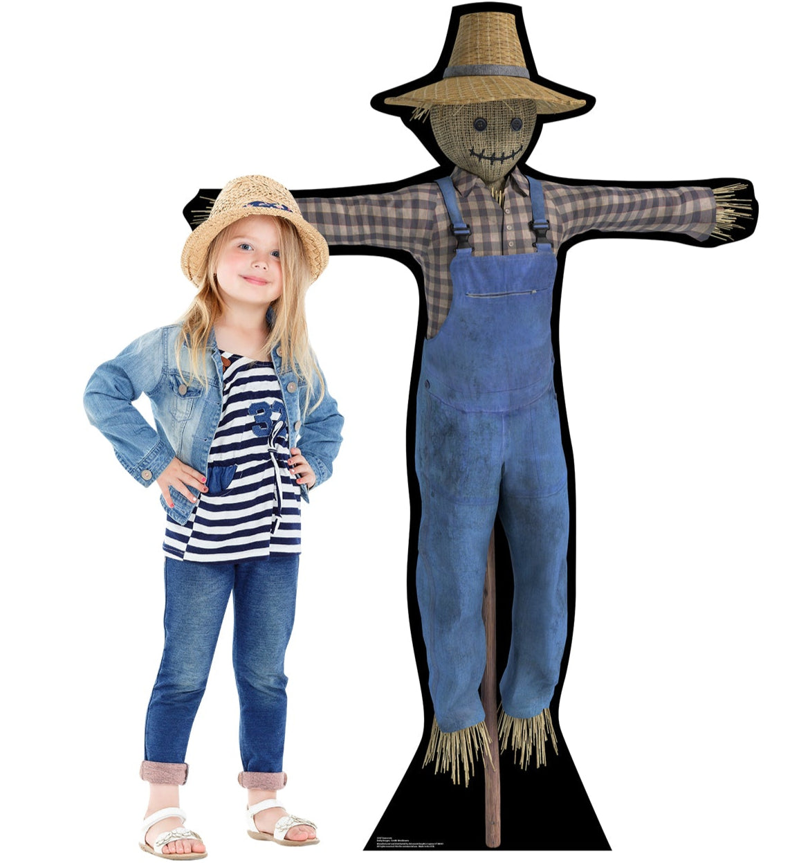 Life-size Scarecrow Cardboard Standup - All Cutouts