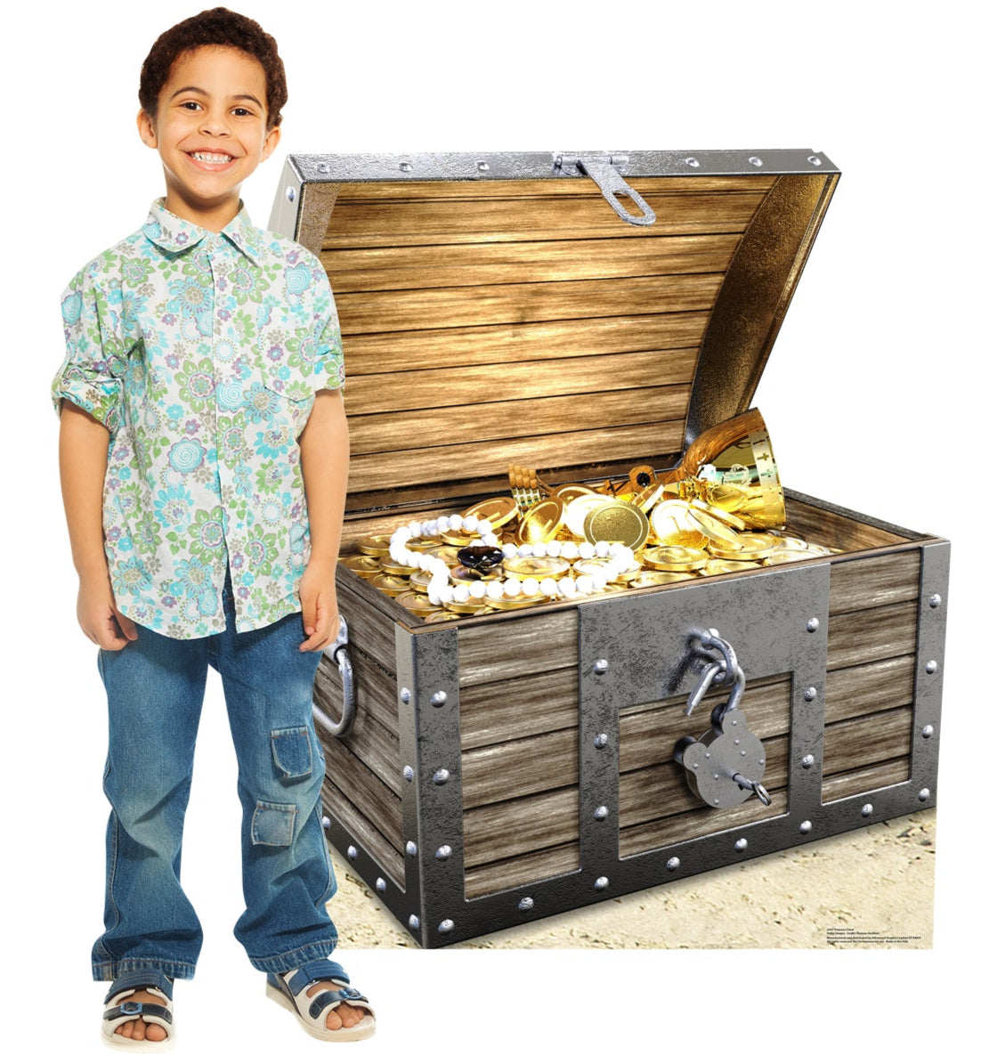 Life-Size Treasure Chest Cardboard Standup - All Cutouts
