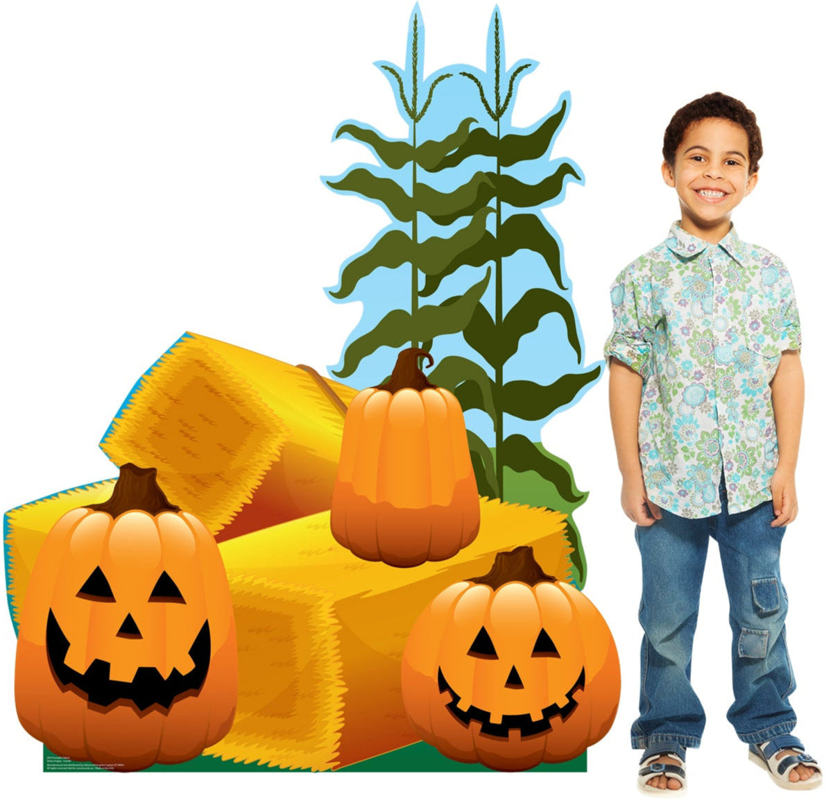 Life-Size Pumpkin Patch Cardboard Cutout - All Cutouts