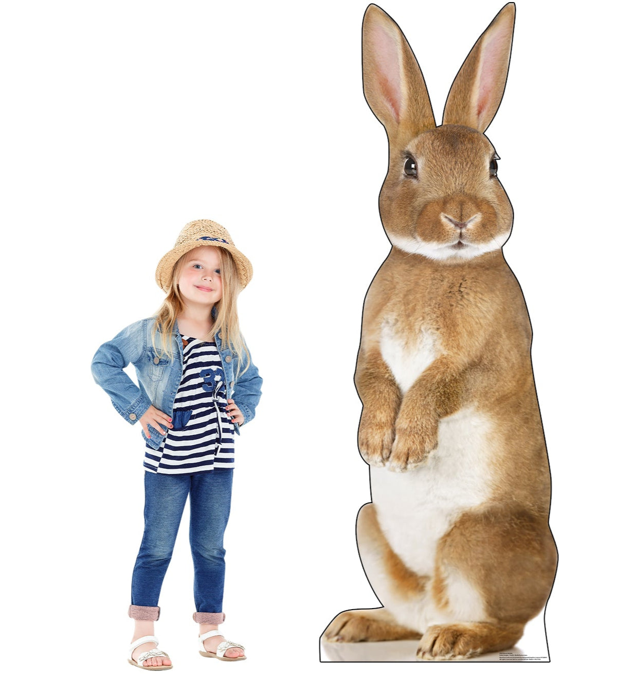 Life-Size Bunny Rabbit Cardboard Cutout - All Cutouts