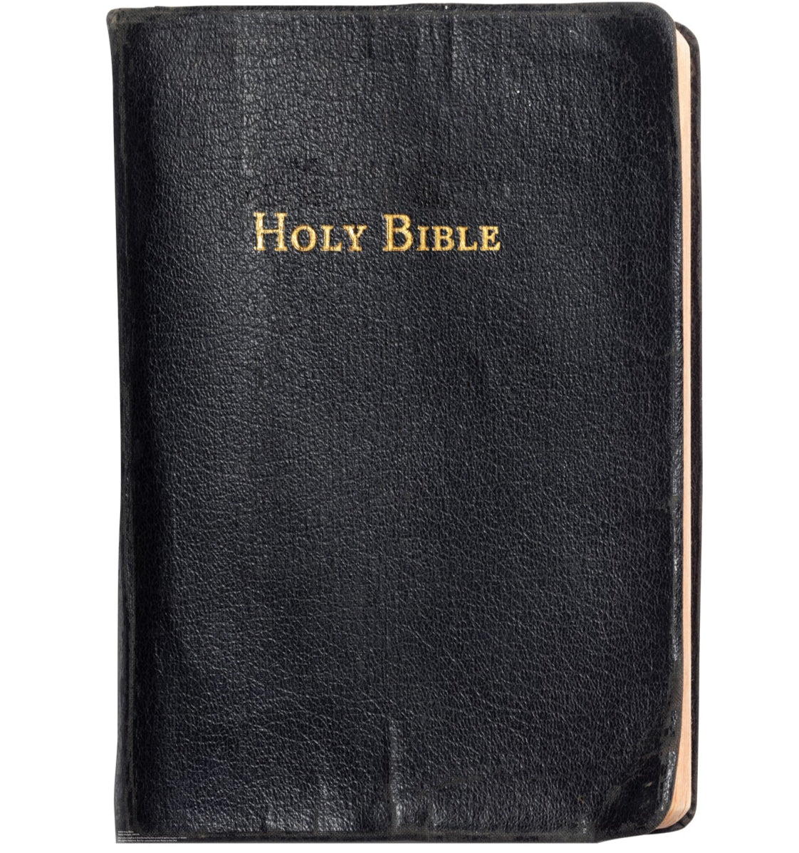 Life-Size Holy Bible Cardboard Cutout - All Cutouts