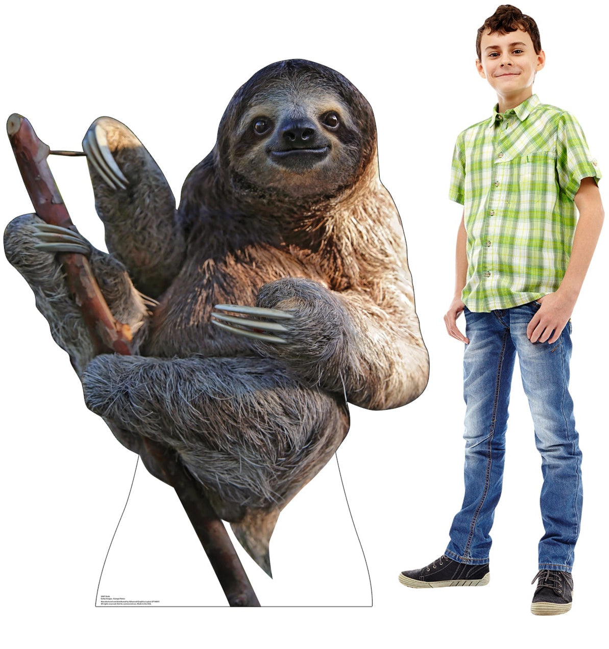 Life-Size Sloth Cardboard Cutout - All Cutouts