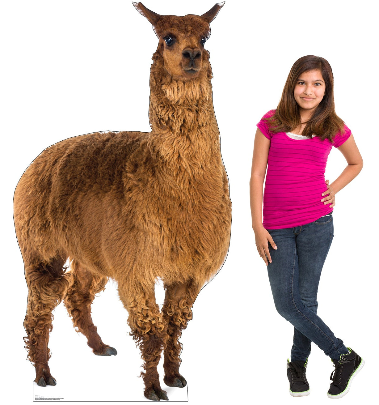Life-Size Llama Cardboard Cutout - All Cutouts