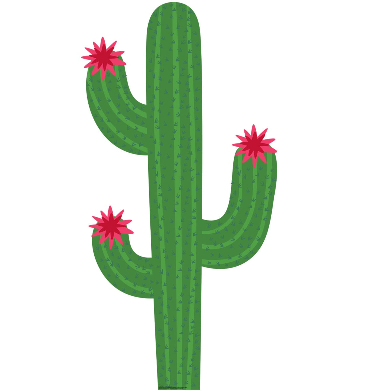 Life-Size Cactus Cardboard Cutout - All Cutouts