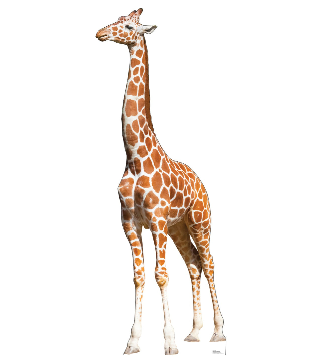Life-Size Giraffe Cardboard Cutout - All Cutouts