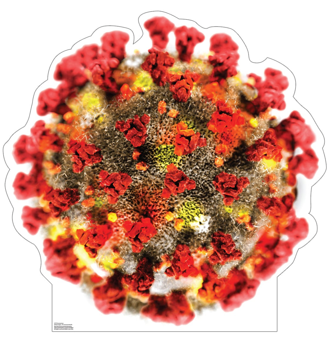 Life-Size Coronavirus Cardboard Standee - All Cutouts