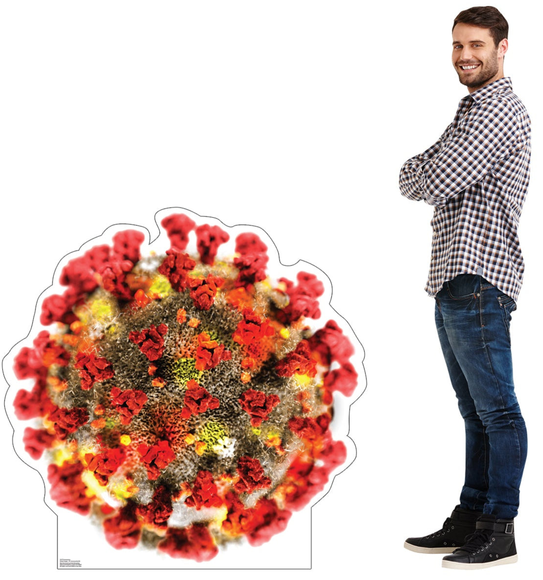 Life-Size Coronavirus Cardboard Standee - All Cutouts