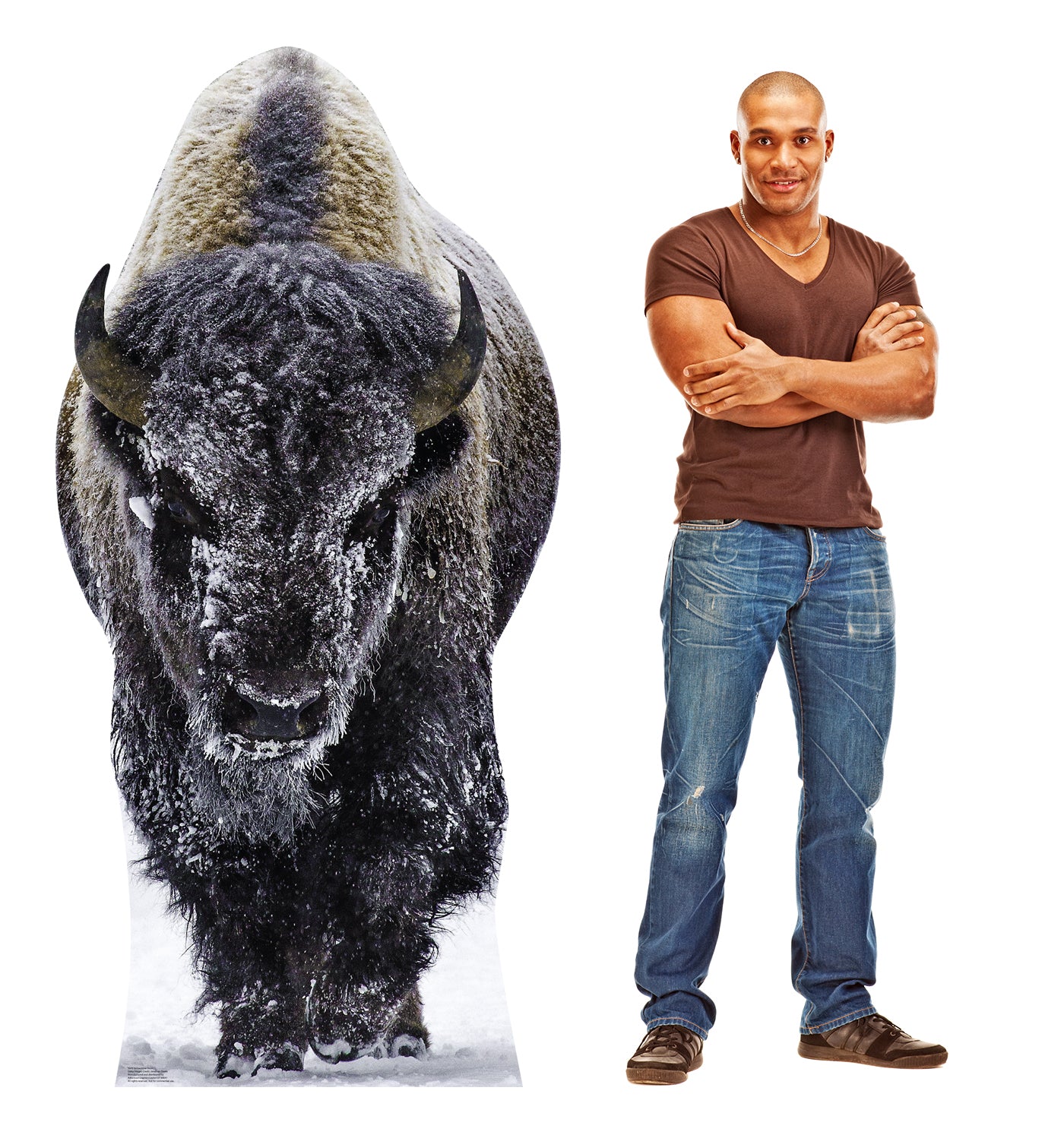 Life-size Cardboard Cutout of Yellowstone Bison - All Cutouts