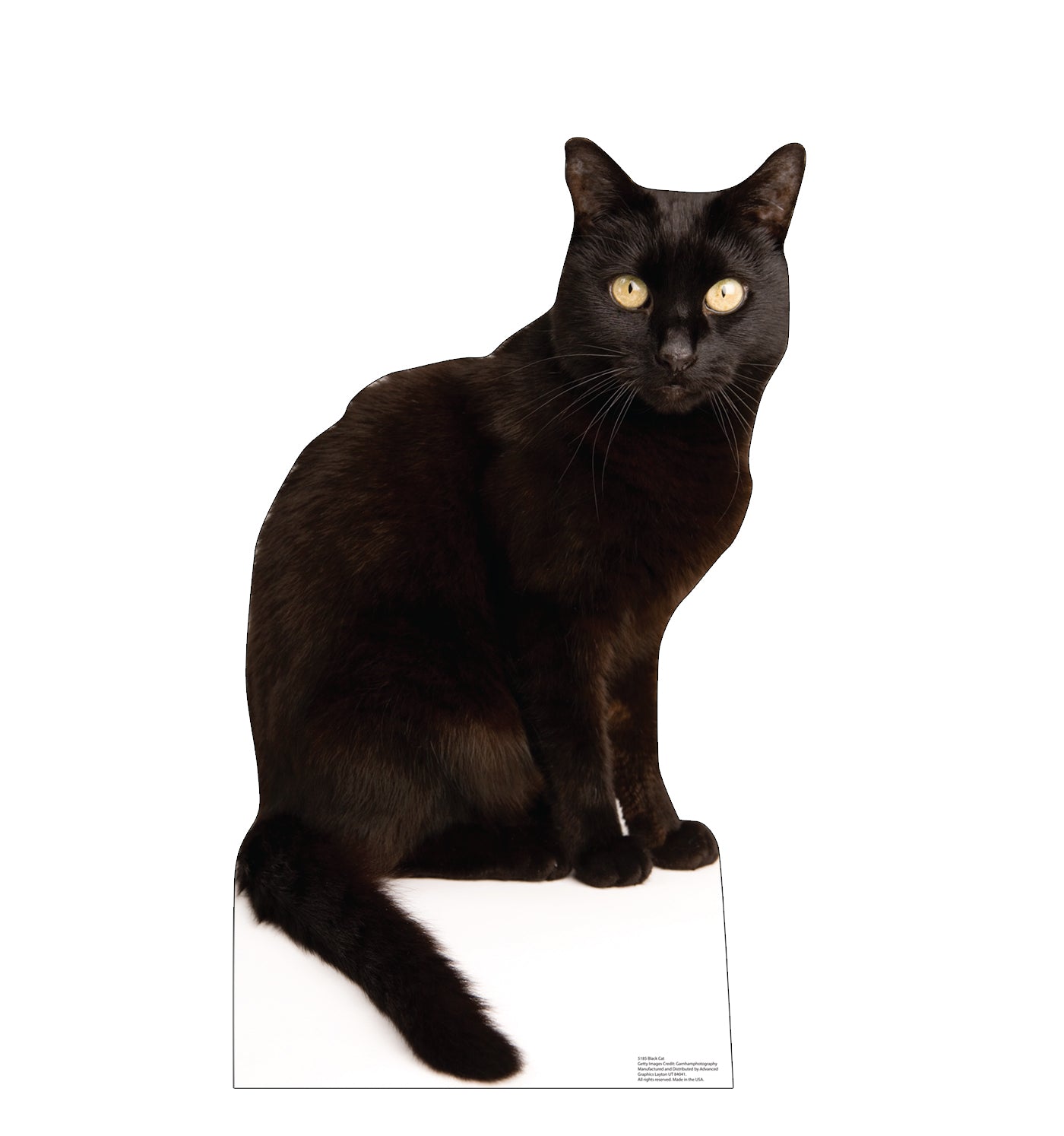 Black Cat Life-Size Cardboard Cutout - All Cutouts