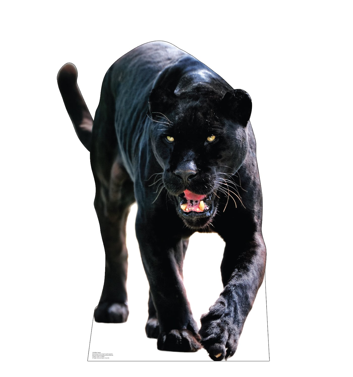 Black Jaguar Life-Size Cardboard Cutout - All Cutouts