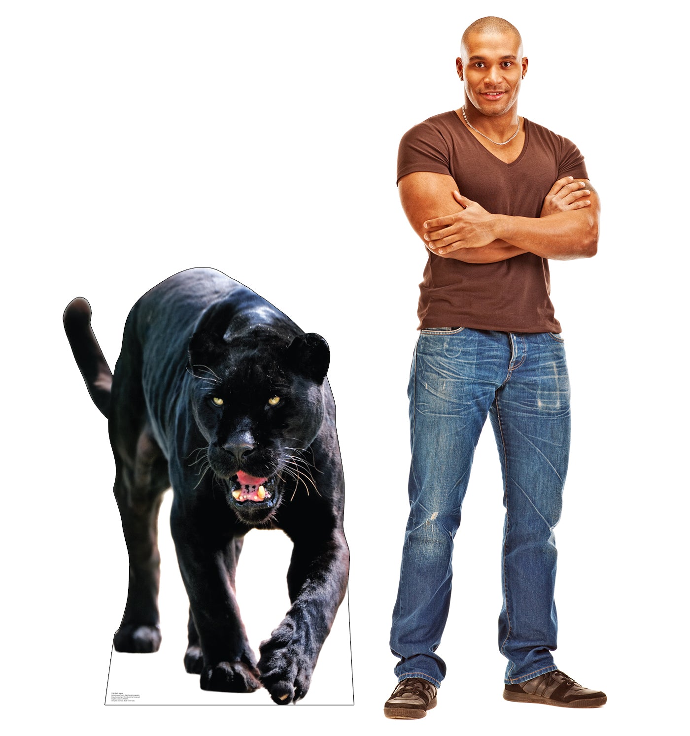 Black Jaguar Life-Size Cardboard Cutout - All Cutouts