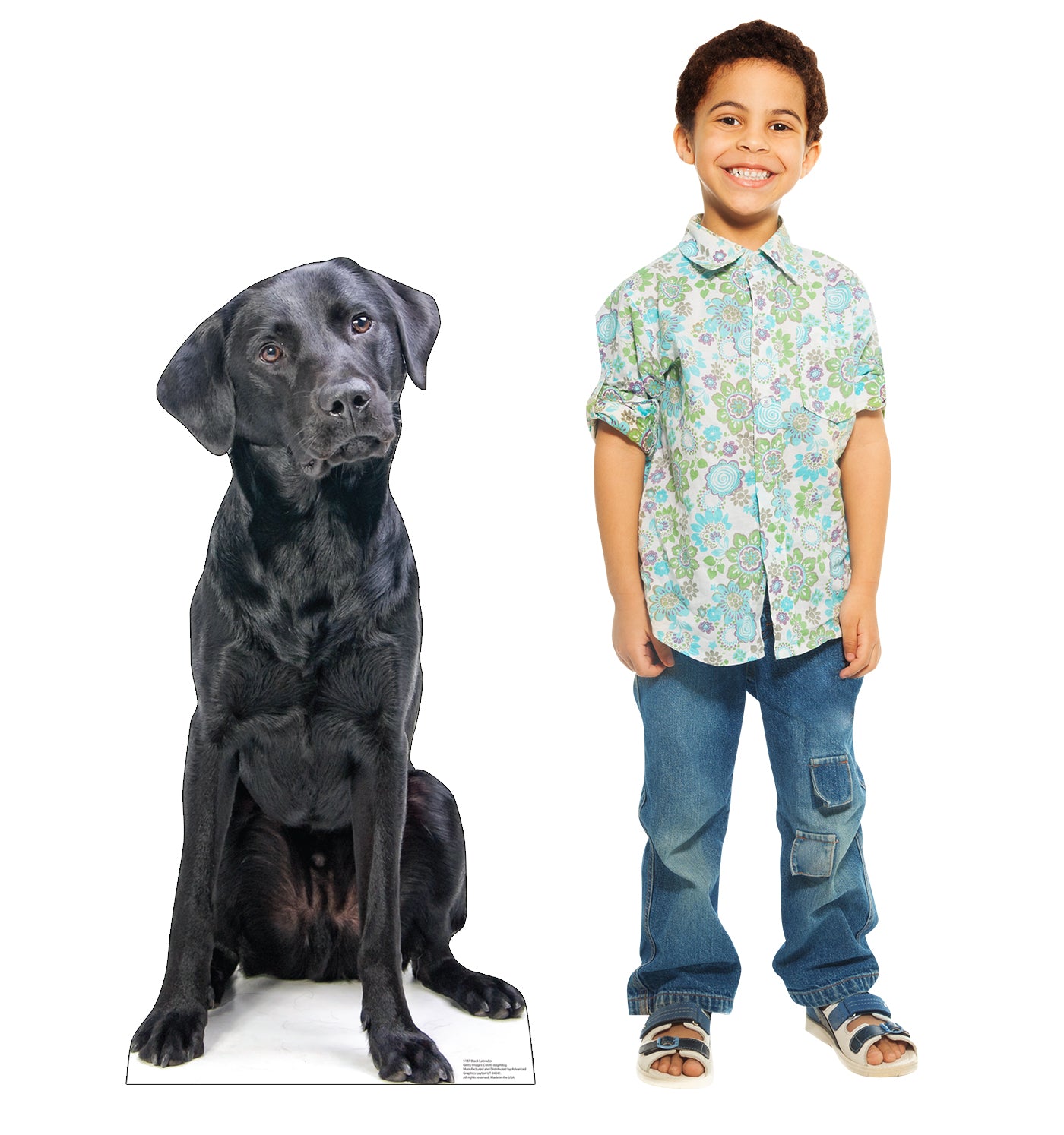 Black Labrador Life-Size Cardboard Cutout - All Cutouts