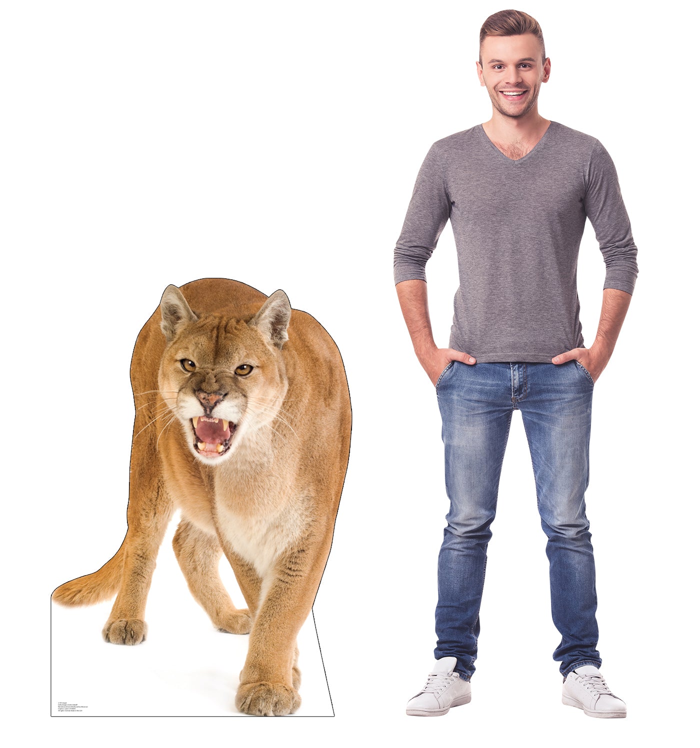 Cougar Life-Size Cardboard Cutout - All Cutouts