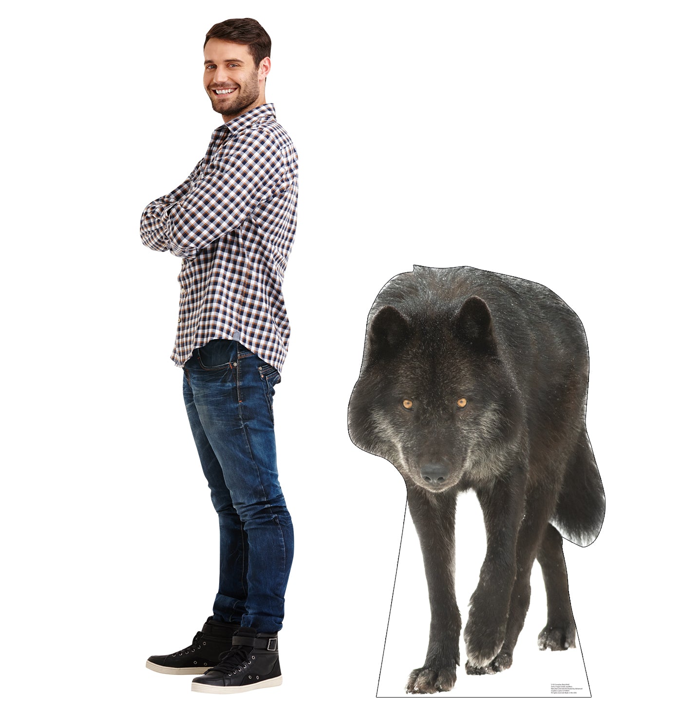 Canadian Black Wolf Life-Size Cardboard Cutout - All Cutouts