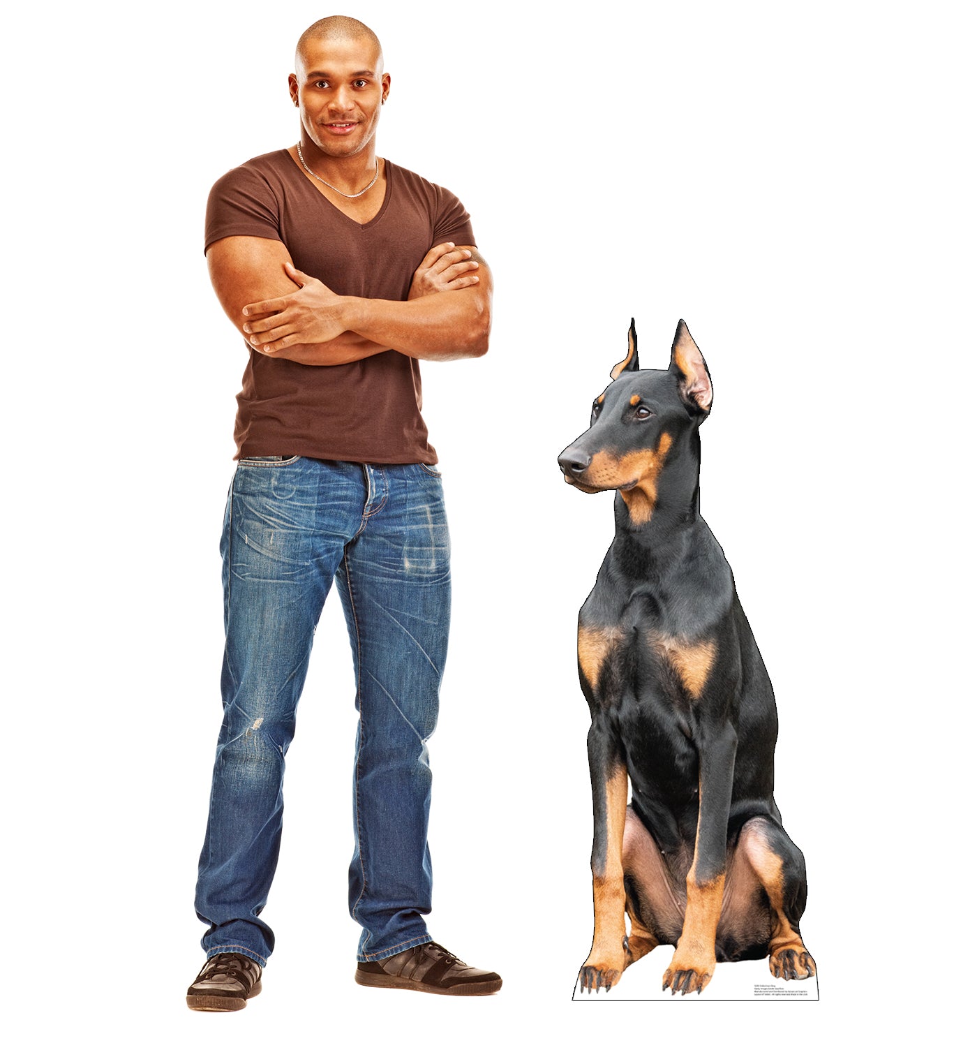 Doberman Dog Life-Size Cardboard Cutout - All Cutouts
