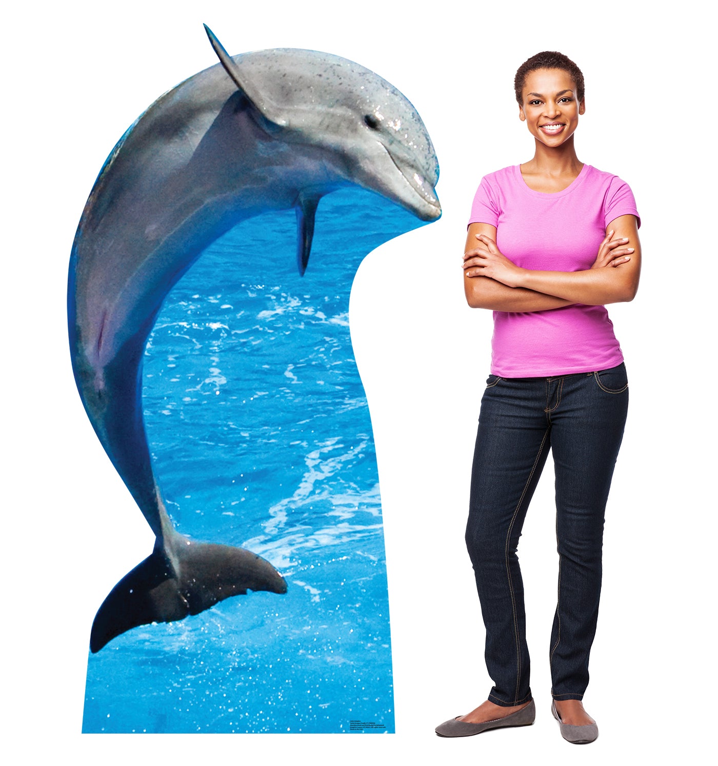 Dolphin Life-Size Cardboard Cutout - All Cutouts