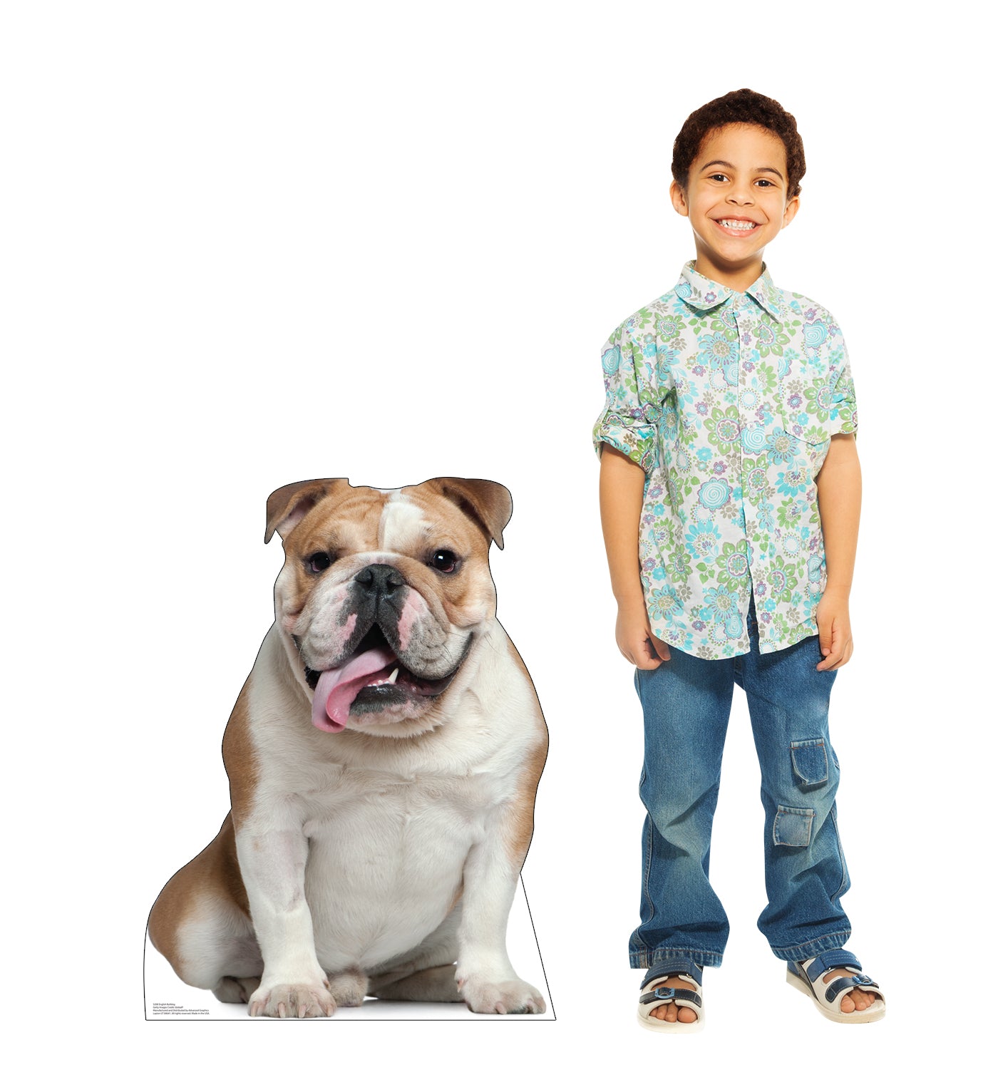 English Bull Dog Life-Size Cardboard Cutout - All Cutouts