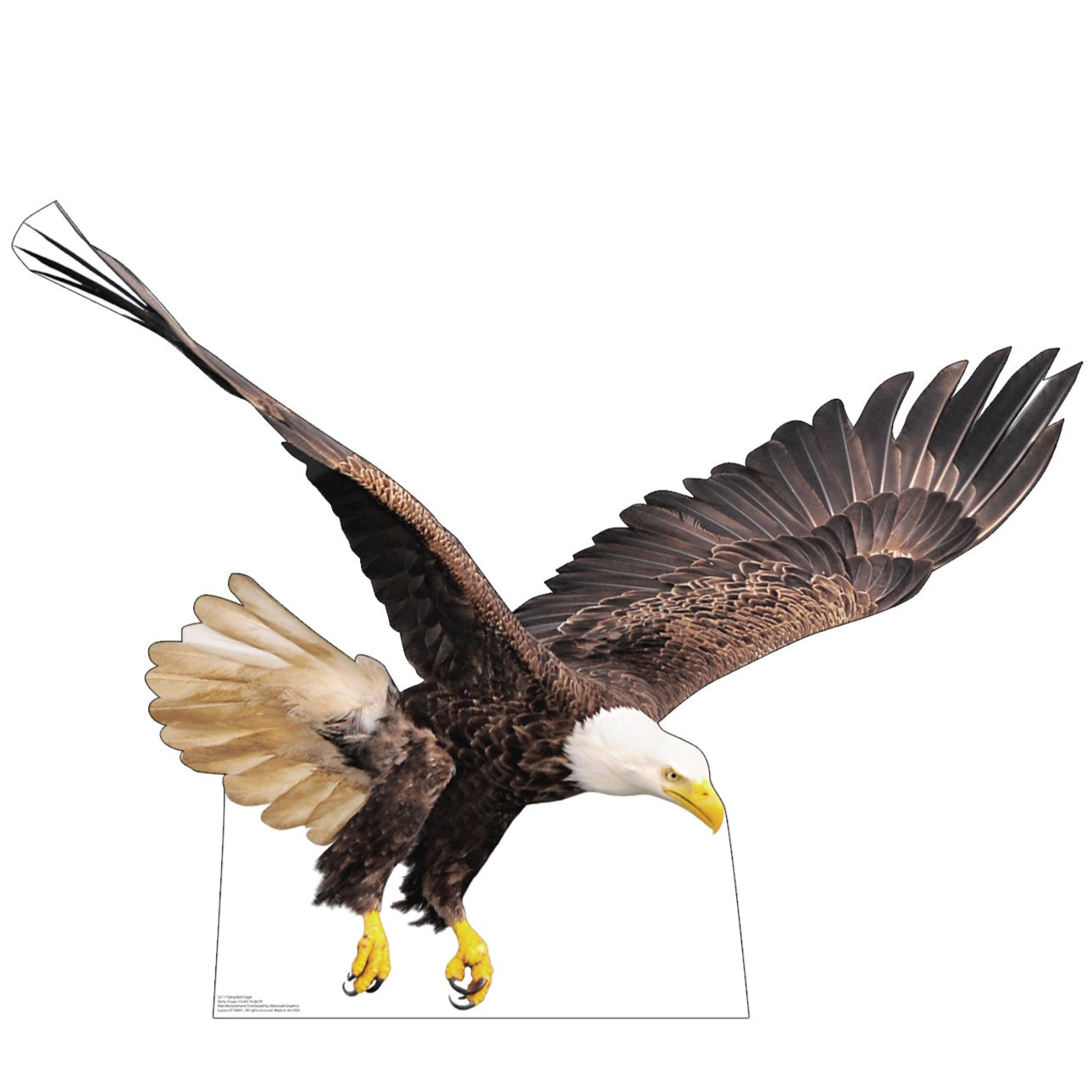 Flying Bald Eagle Life-Size Cardboard Cutout - All Cutouts