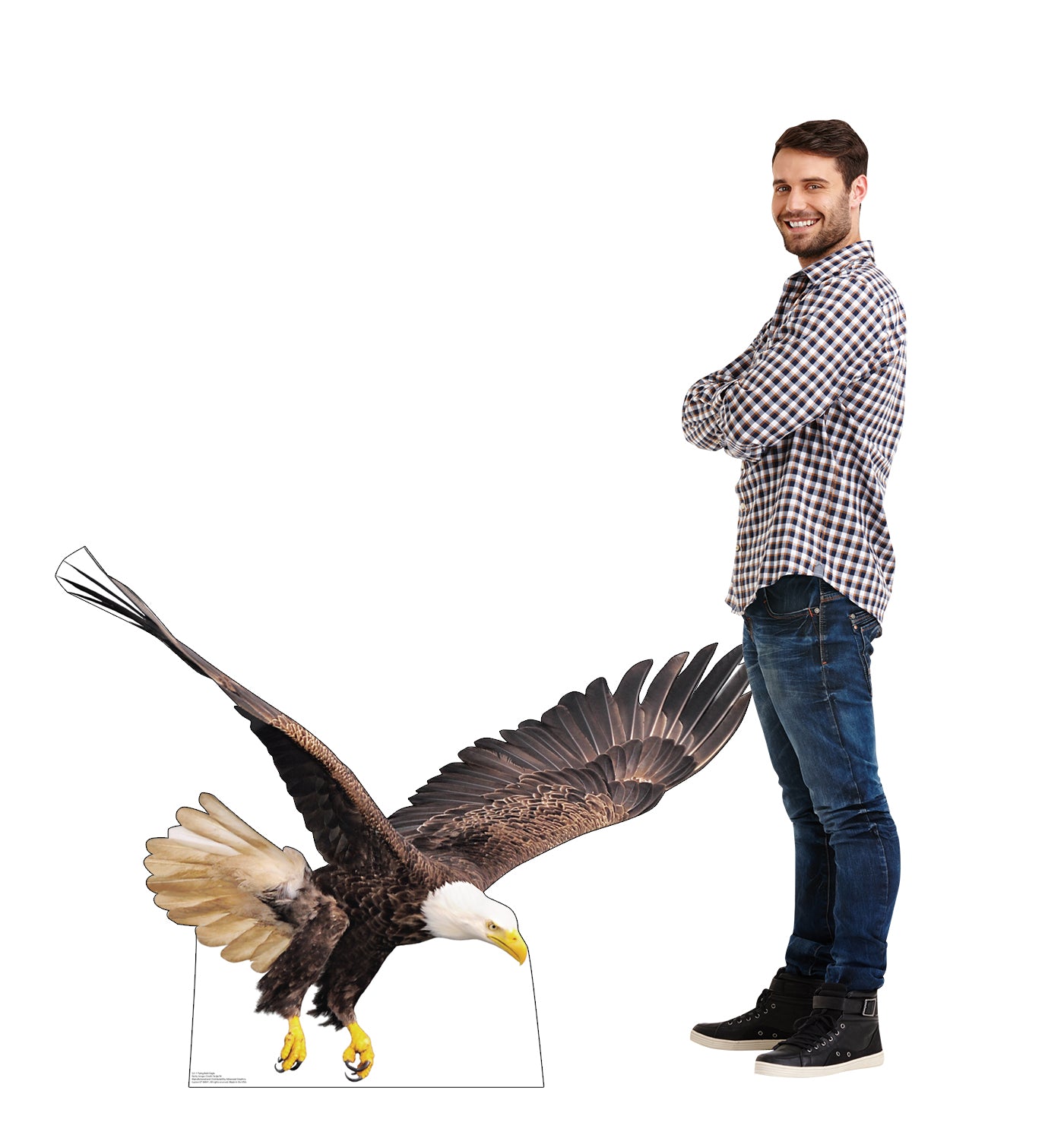 Flying Bald Eagle Life-Size Cardboard Cutout - All Cutouts
