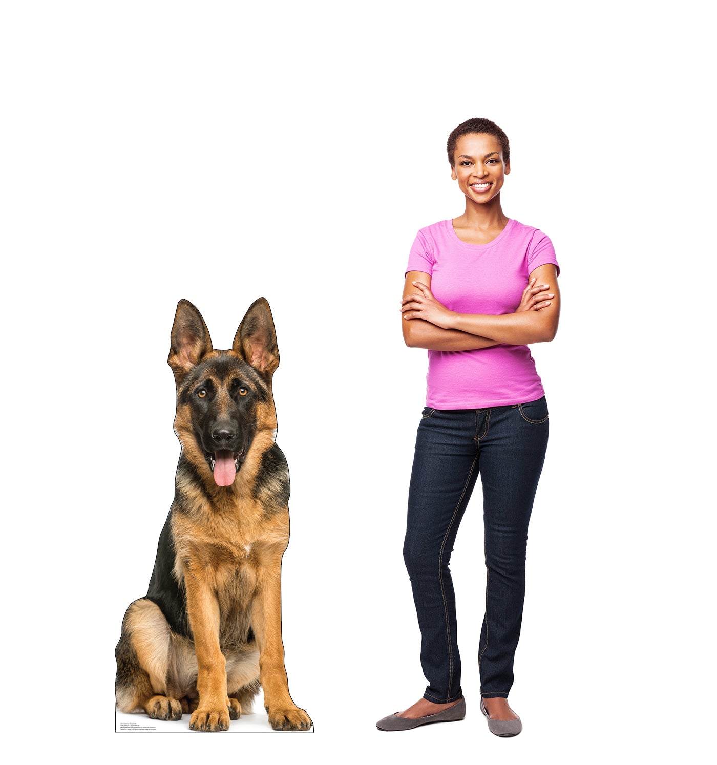 German Shepherd Life-Size Cardboard Cutout - All Cutouts