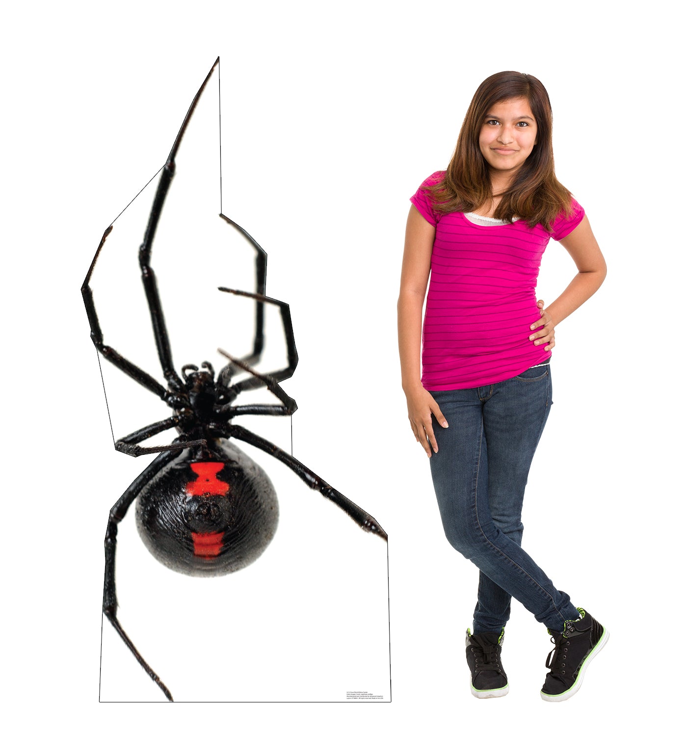 Giant Black Widow Spider Life-Size Cardboard Cutout - All Cutouts