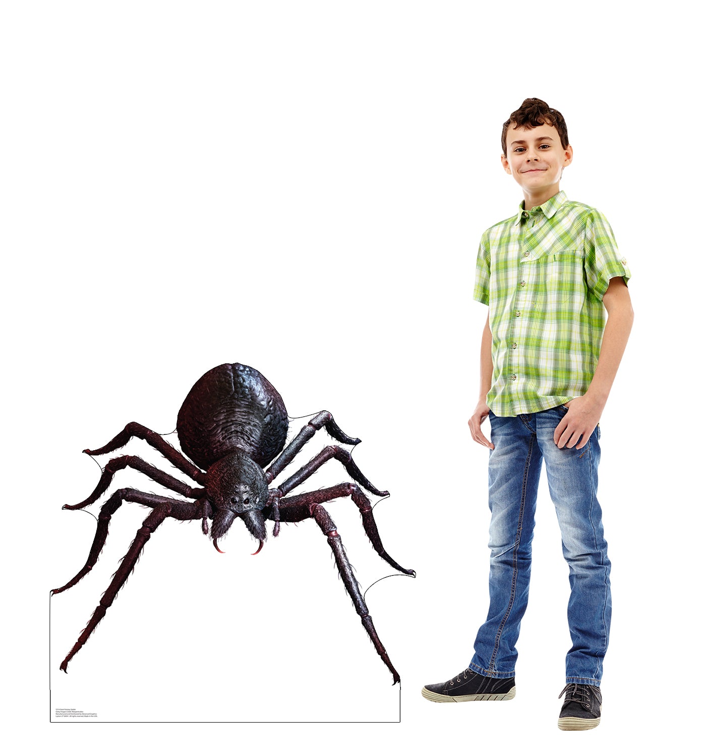 Giant Fantasy Spider Life-Size Cardboard Cutout - All Cutouts
