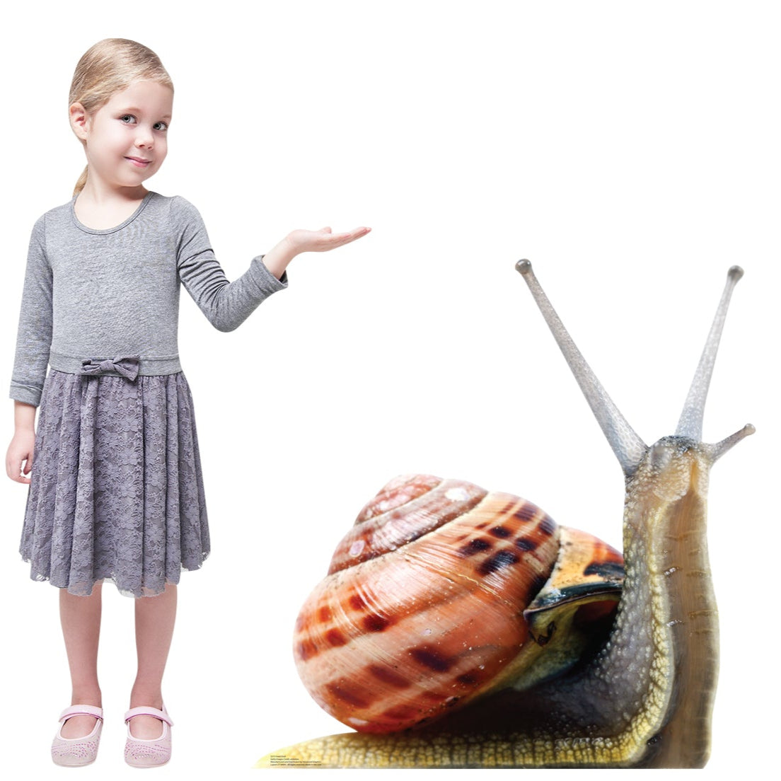 Giant Snail Life-Size Cardboard Cutout - All Cutouts