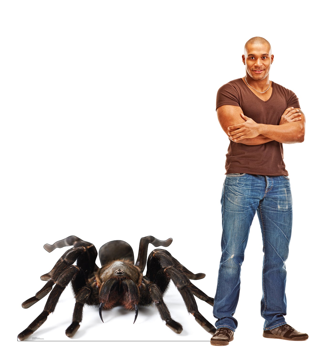 Giant Tarantula Life-Size Cardboard Cutout - All Cutouts